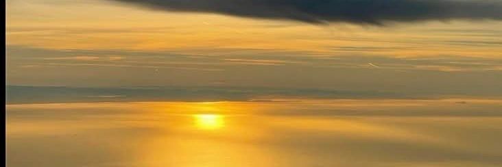 Ivana Dumptrump banner