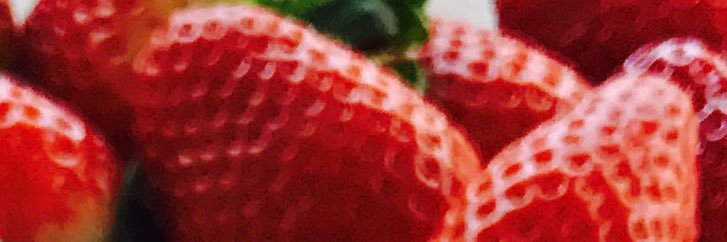 Kathelijne Bottema banner