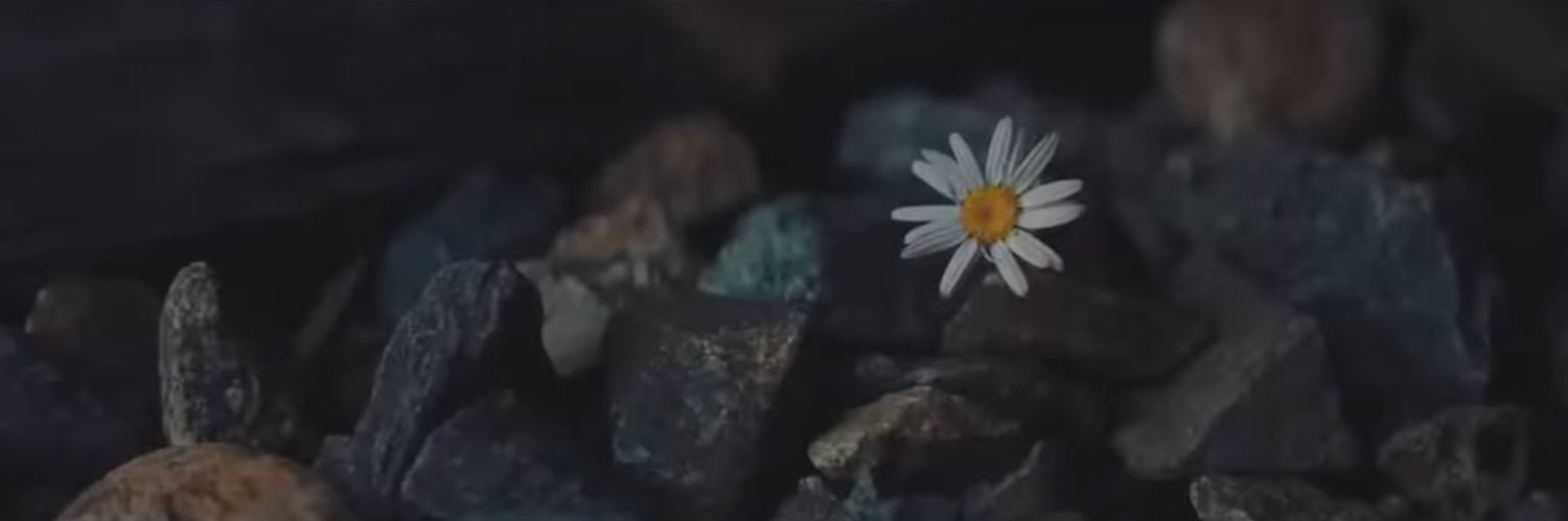 𝔗𝔢𝔪𝔬 banner