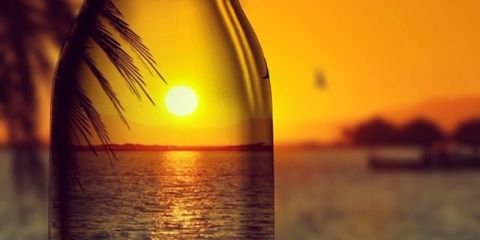 alicoers's profile banner image