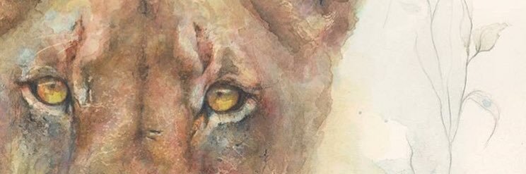 danielajosefa's profile banner image