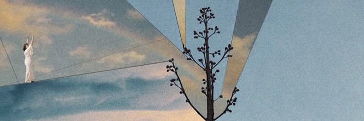 belerinaa's profile banner image