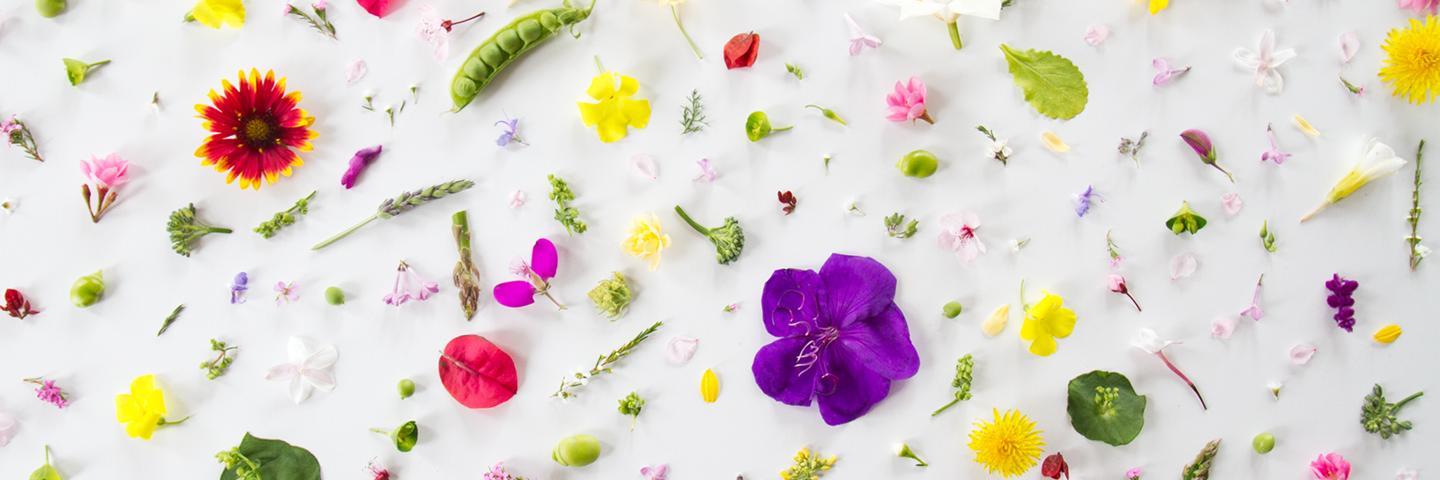 jadeambridge's profile banner image