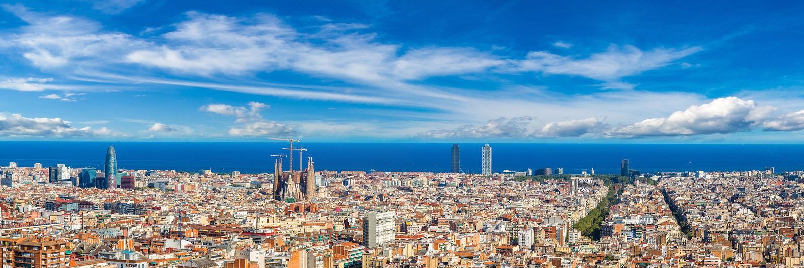 Herrera en Cope Cat banner