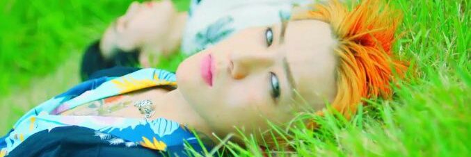 P 🌻🌵 banner