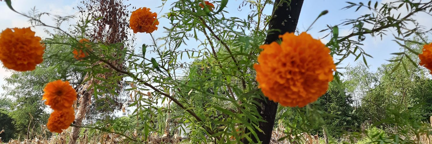 Dr. Deepak Rai 🇮🇳 banner