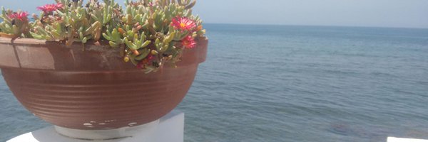 AramateixMJ Profile Banner