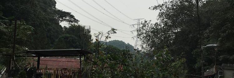 neonkidney's profile banner image