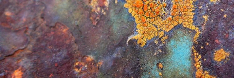Jess_Gregory's profile banner image