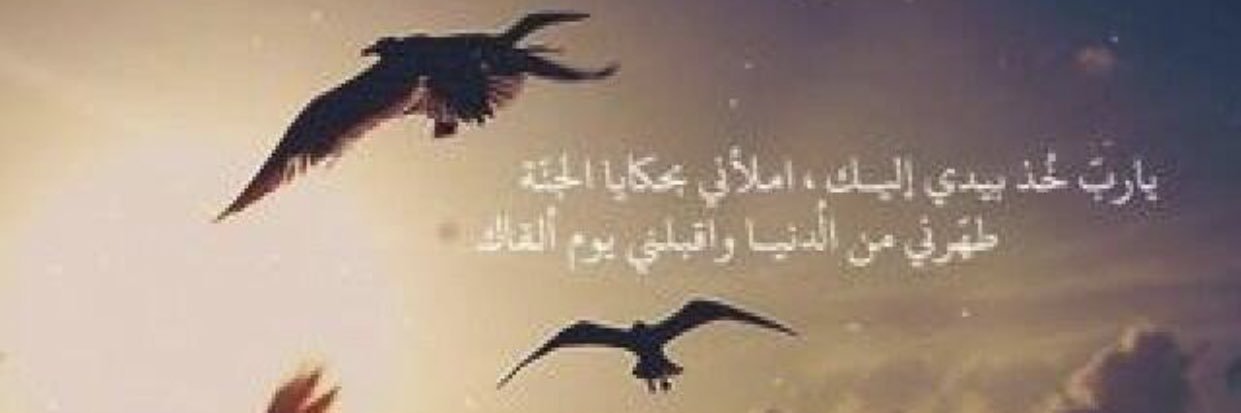 wazeera_11's profile banner image
