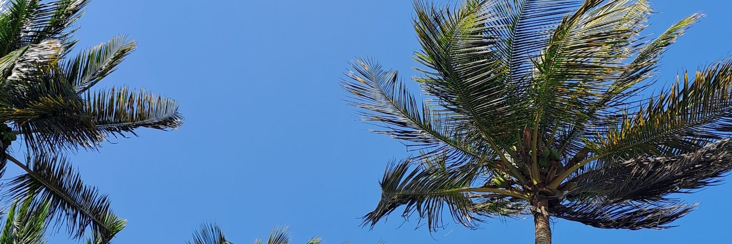 MicchyOrta's profile banner image