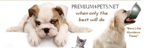 Lori Matthews banner