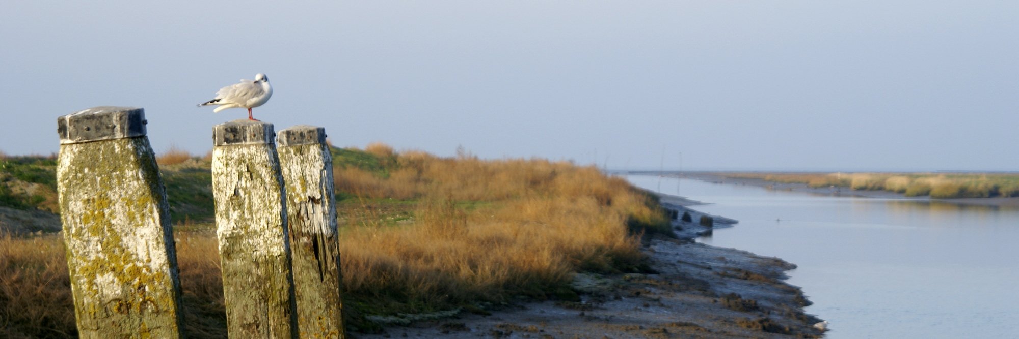 janroel's profile banner image
