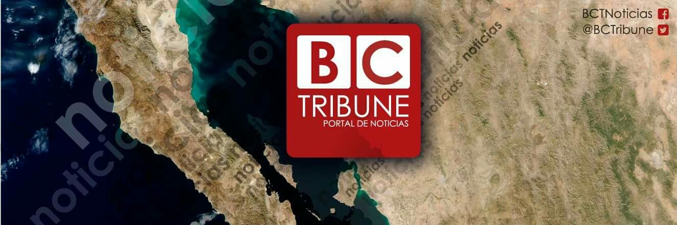 BCTribune's profile banner image