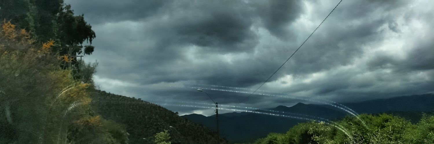 Caro 🌱🍃 banner