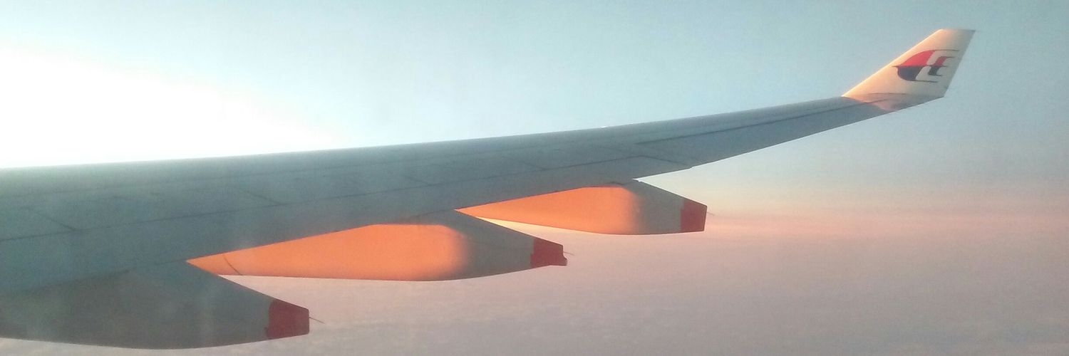 🇲🇾 🇵🇸 Random things banner