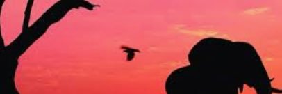 Debbie 🕊️💚🙏🏽 banner