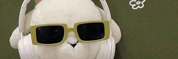 plaipypy's profile banner image