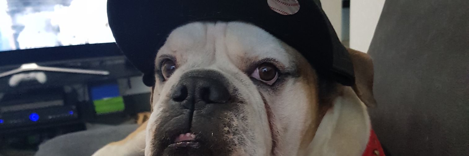 daniiq's profile banner image