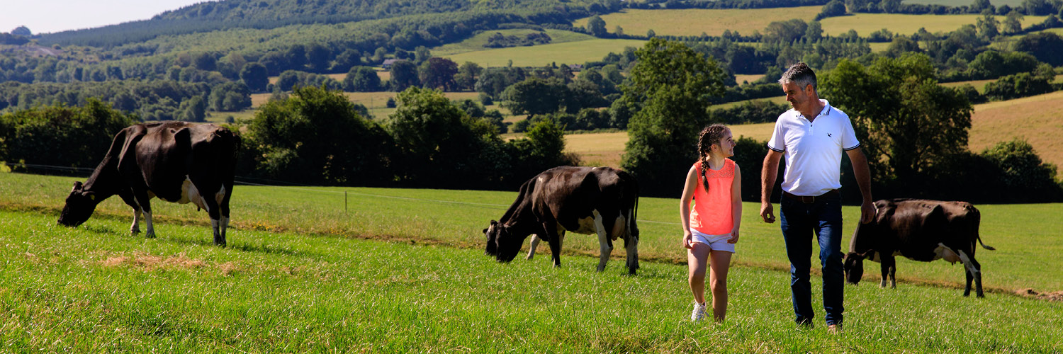 Lakeland Dairies Foodservice banner