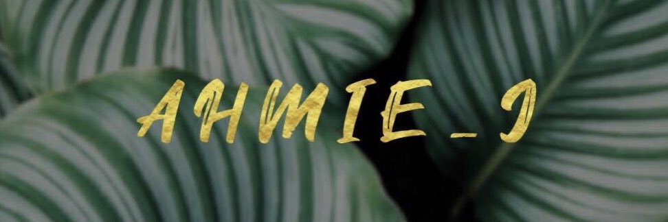 Ahmie__J's profile banner image