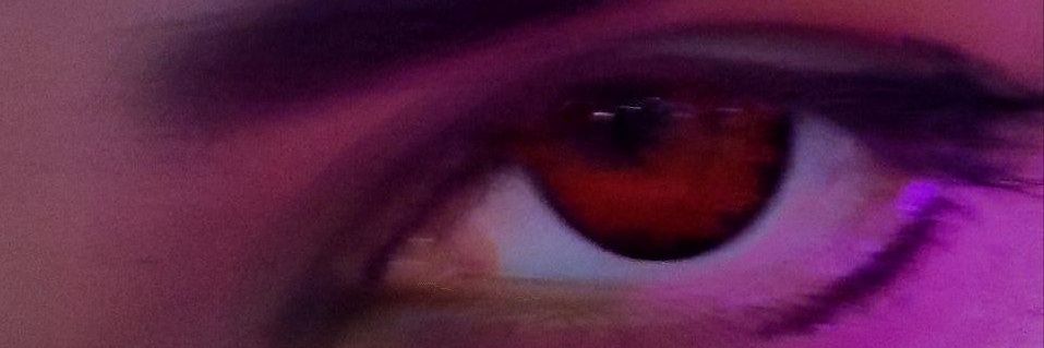 snake eyes banner