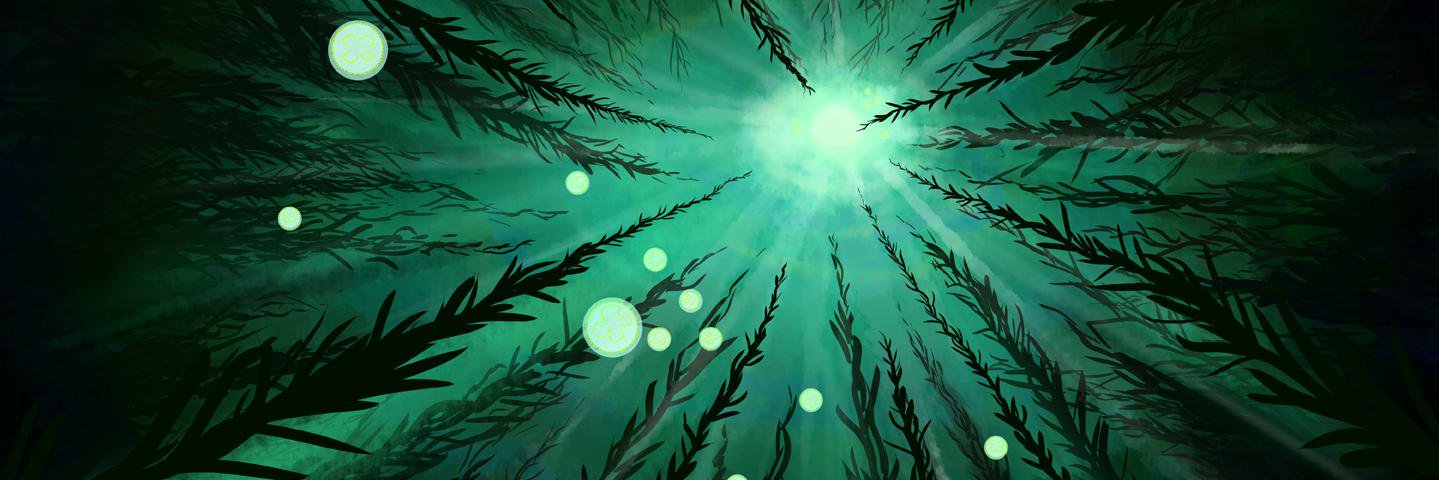 Naminational's profile banner image