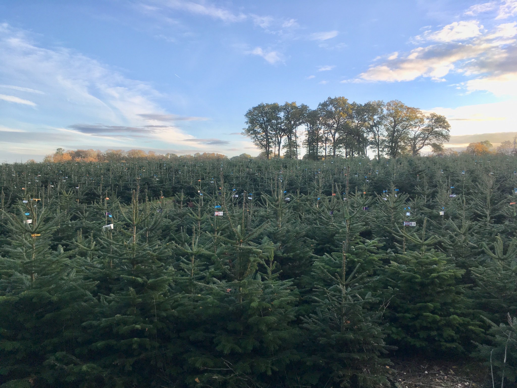 Yattendon Estates banner