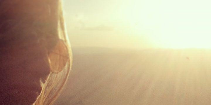 souadh_'s profile banner image
