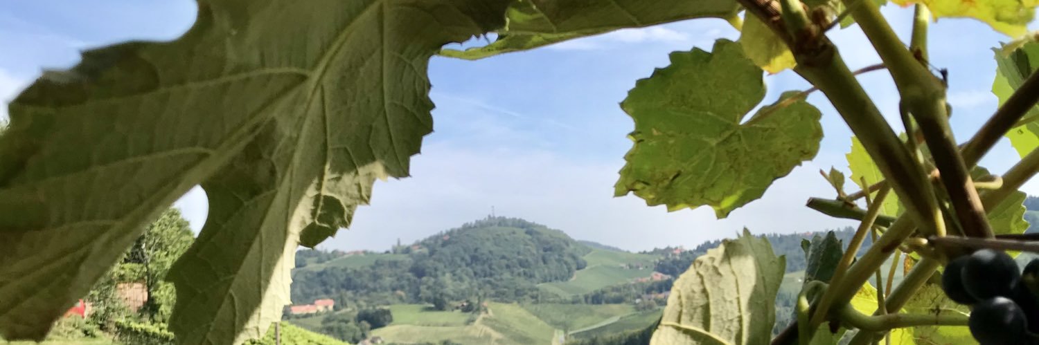 SWintschnig's profile banner image