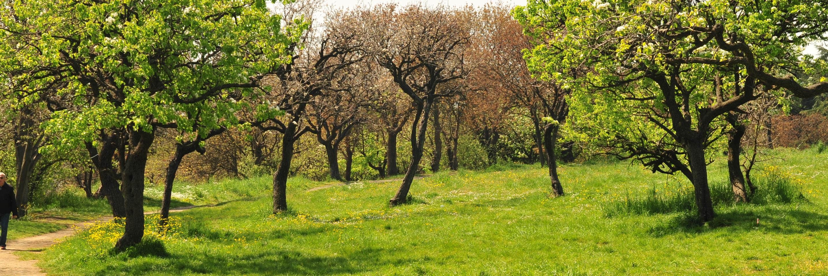 Validebağ Gönüllüler banner