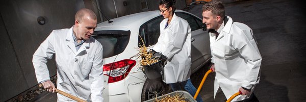 AUFF2017 Profile Banner