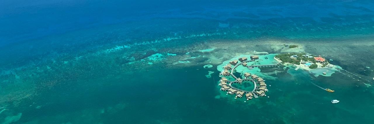 iam Algoriddim banner