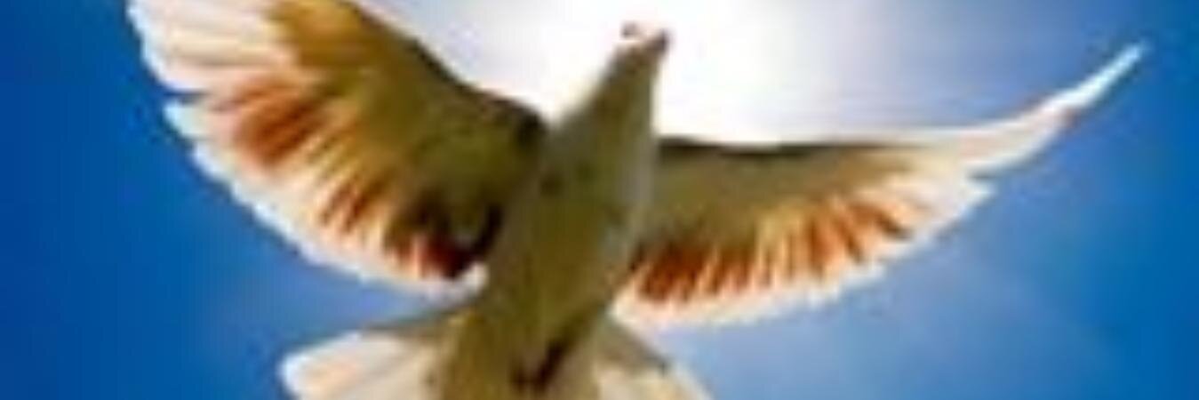 ratherfort's profile banner image