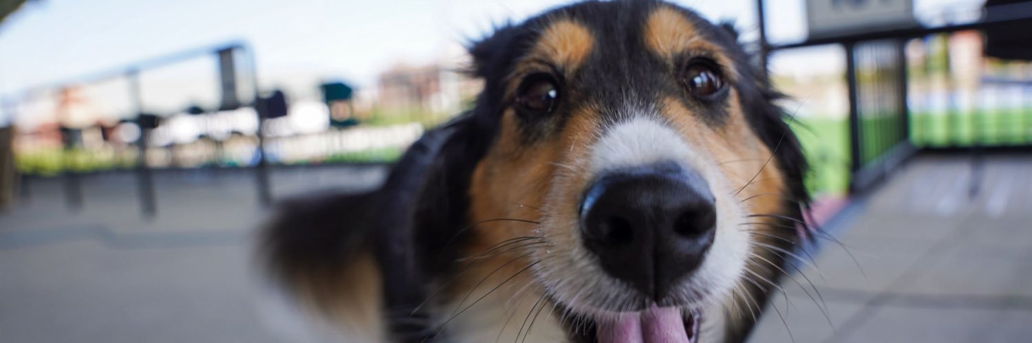 Hannah Durham banner