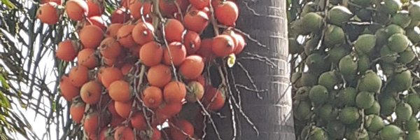 rajtweets10 Profile Banner
