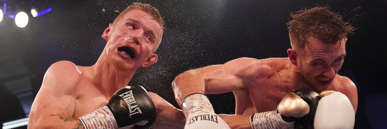 HorribleHarryScarff banner