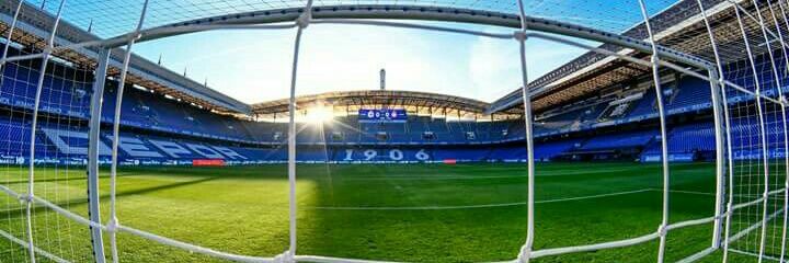 danicastropol's profile banner image