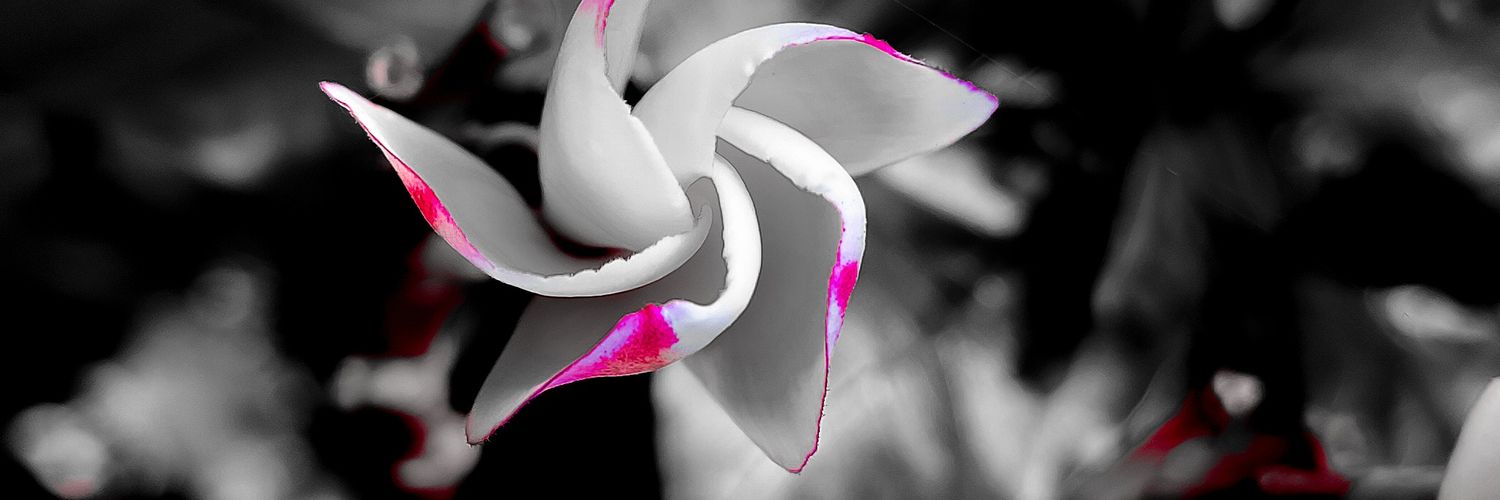 LipunNanda2's profile banner image