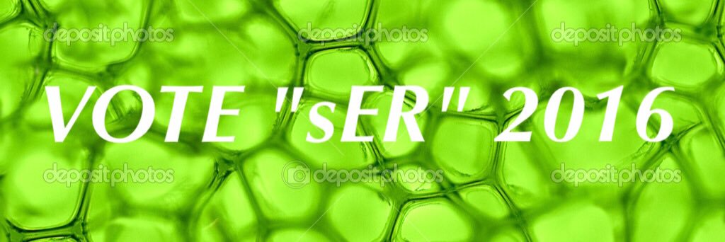 sEndoReticulum's profile banner image