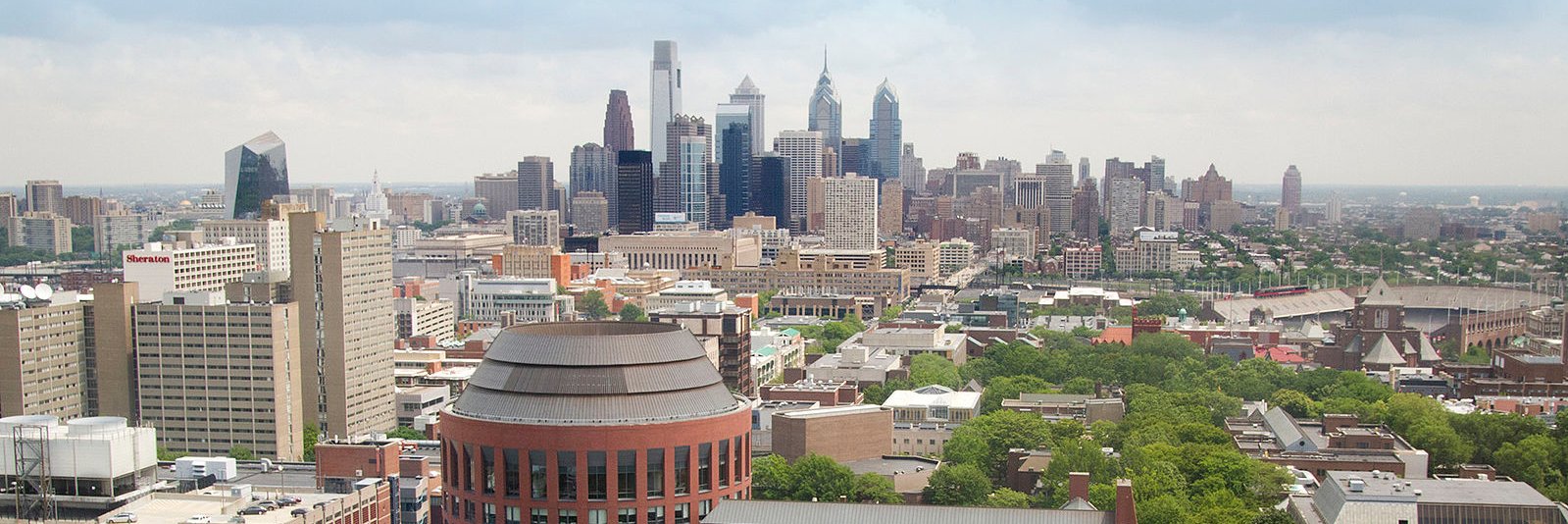 Wharton Brain banner