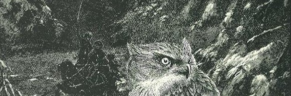 密林亭半魚人 banner