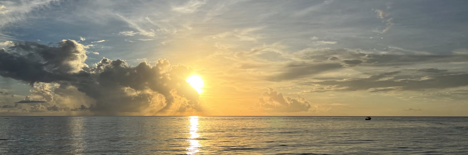 Natalie_Dunphy's profile banner image