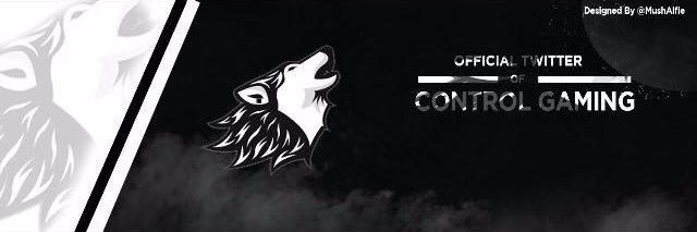 ControlGamingRL banner