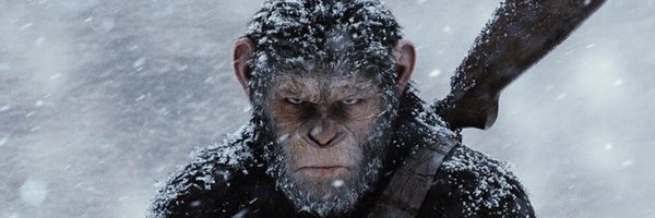 CFBSavage Profile Banner