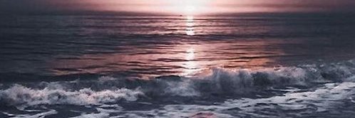 Ocean_Siren banner