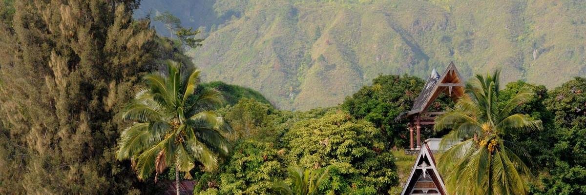 MasterFlomast's profile banner image