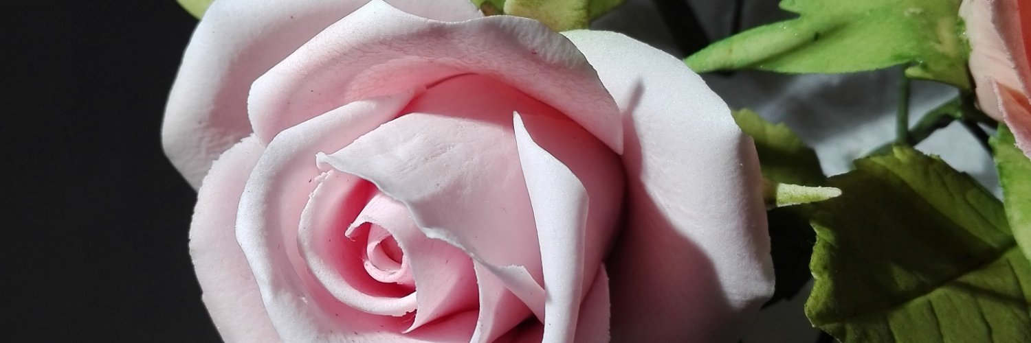 out_of_d_box's profile banner image