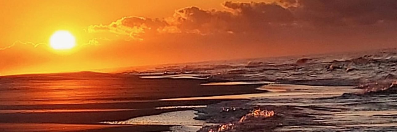 Barbara by the Sea 🌊😎🏖️'s banner