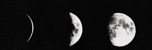 herculanocomh's profile banner image